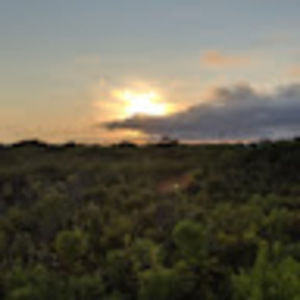 Meet your Posher, Justice